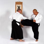 Irimi nage 2