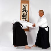 Irimi nage 3