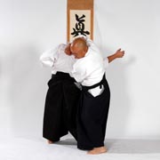 Irimi nage 4