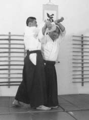 taihojutsu 2