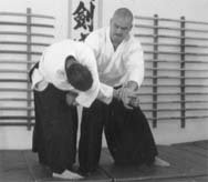 taihojutsu 3