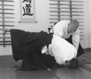 taihojutsu 4